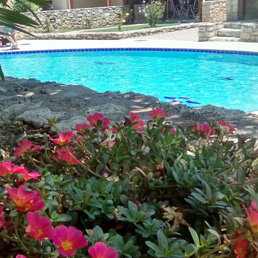 גאורגיופוליס Villa Stella D'Oro מראה חיצוני תמונה
